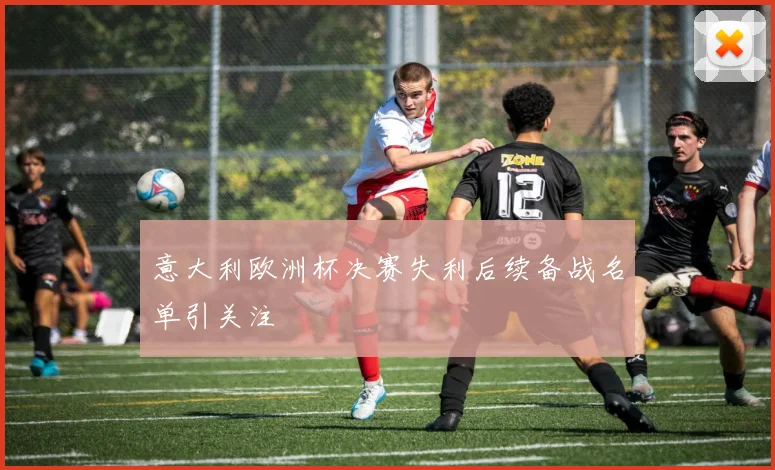 意大利欧洲杯决赛失利后续备战名单引关注