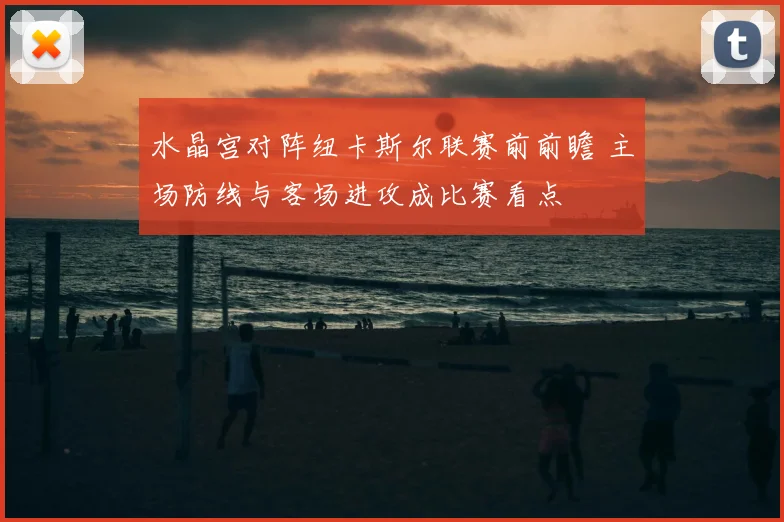 水晶宫对阵纽卡斯尔联赛前前瞻 主场防线与客场进攻成比赛看点
