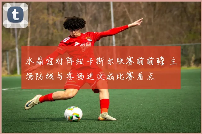 水晶宫对阵纽卡斯尔联赛前前瞻 主场防线与客场进攻成比赛看点
